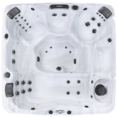 Avalon EC-840L hot tubs for sale in Savannah