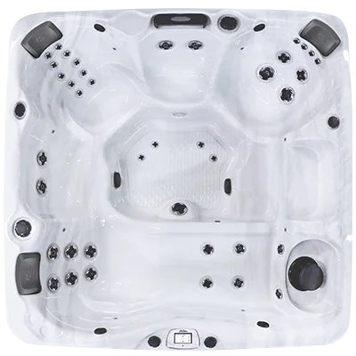 Avalon-X EC-840LX hot tubs for sale in Savannah