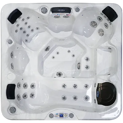 Avalon EC-849L hot tubs for sale in Savannah