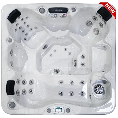 Avalon-X EC-849LX hot tubs for sale in Savannah