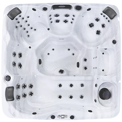 Avalon EC-867L hot tubs for sale in Savannah