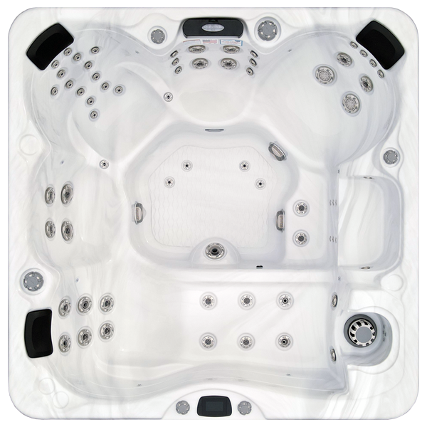 Avalon-X EC-867LX hot tubs for sale in Savannah